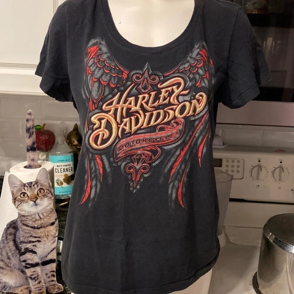 O womens Harley Davidson black cap sleeve t-shirt size XL - Picture 1 of 5